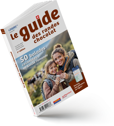 GL25_GRChoco_Cover_3D